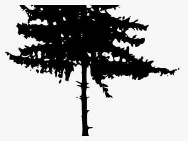 Pine Tree Clipart Transparent Background - Pine Tree Silhouette Png, Png Download, Transparent PNG