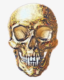 Vampire Skull Png - Skull, Transparent Png, Transparent PNG