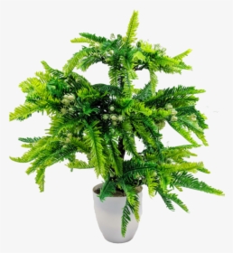Artificial Potted Tree      Data Rimg Lazy   Data Rimg, HD Png Download, Transparent PNG
