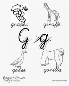 Colouring In Page Letter G For Kids - Grapes Clipart, HD Png Download, Transparent PNG