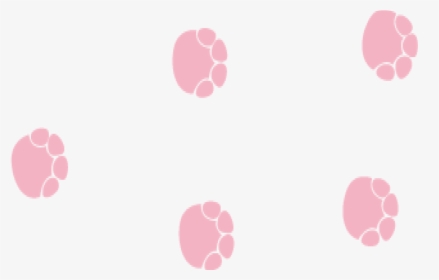 Circle, HD Png Download, Transparent PNG