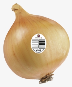 Yellow Onion, HD Png Download, Transparent PNG