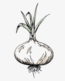 Line Art, HD Png Download, Transparent PNG