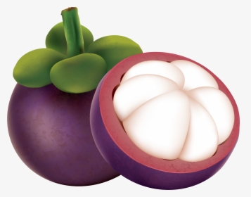 Mangosteen Clipart Image Black And White Mangosteen, HD Png Download, Transparent PNG