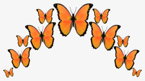 #orange #butterfly #butterflys #crown #emoji #emojis - Brush-footed Butterfly, HD Png Download, Transparent PNG
