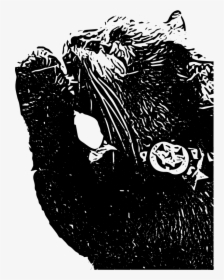 Transparent Cute Black Cat Png - Illustration, Png Download, Transparent PNG