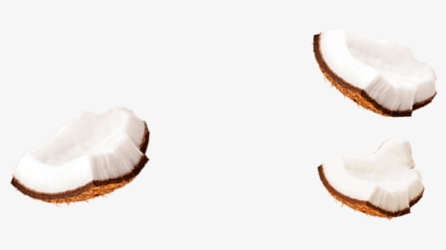 Coconut Milk Png - Coconut Piece Png, Transparent Png, Transparent PNG