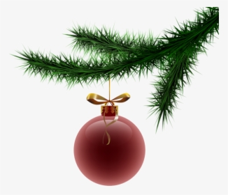 Transparent Christmas Christmas Tree Christmas Decoration - Christmas Tree, HD Png Download, Transparent PNG