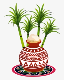 Transparent Pongal Houseplant Palm Tree Flowerpot For - Happy Pongal Images With Quotes, HD Png Download, Transparent PNG