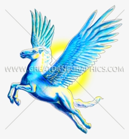 Macaw, HD Png Download, Transparent PNG