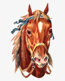 Cabeza De Caballo Tatuaje, HD Png Download, Transparent PNG