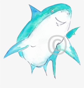 Reef Shark P2 Cmaas Copyright - Great White Shark, HD Png Download, Transparent PNG