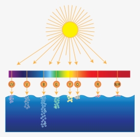 Sunlight Spectrum - Graphic Design, HD Png Download, Transparent PNG