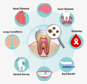 Clipart Oral Health, HD Png Download, Transparent PNG