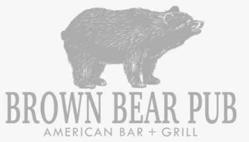 Brown Bear - Like Father Like, HD Png Download, Transparent PNG