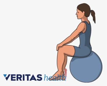 Exercise Ball Sitting, HD Png Download, Transparent PNG