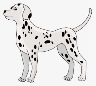Dalmatian Dog Clipart, HD Png Download, Transparent PNG