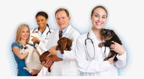 Veterinarian With Different Animals, HD Png Download, Transparent PNG