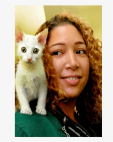 Doctor Christina East At Riverside Animal Hospital - Kitten, HD Png Download, Transparent PNG