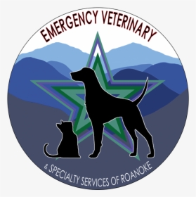 Emergency Veterinary Services Of Roanoke - Dog Catches Something, HD Png Download, Transparent PNG