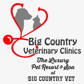 Big Country Veterinary Clinic - Graphic Design, HD Png Download, Transparent PNG