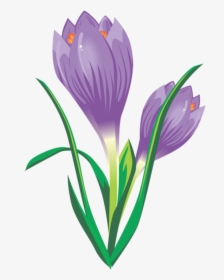 #ftestickers #illustration #flower #crocus #purple - Spring Crocus, HD Png Download, Transparent PNG