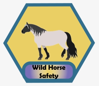 Wild Horse Png, Transparent Png, Transparent PNG
