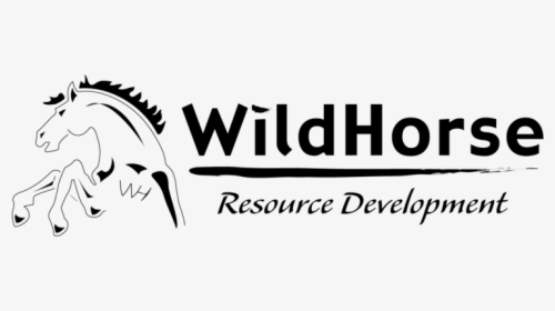 Wildhorse - Stallion, HD Png Download, Transparent PNG