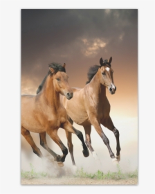 Personlized Animal Series Design Wild Horse Runnin - Apple Ipad Ipad Cases With Horses, HD Png Download, Transparent PNG