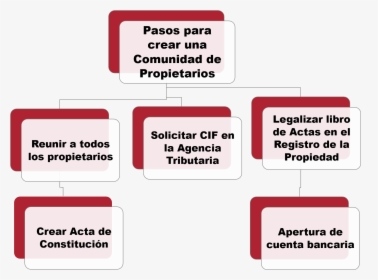 Transparent Pasos A Seguir Png - Comunidad De Madrid Asuntos Sociales, Png Download, Transparent PNG