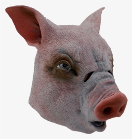 Domestic Pig, HD Png Download, Transparent PNG