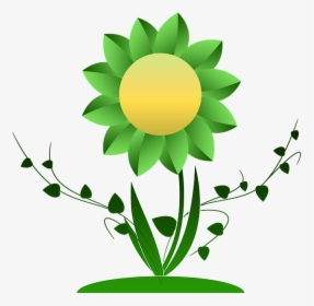 Growth, Flower, Plant, Ranke, Climber Plant, Green - Donazione Del Sangue, HD Png Download, Transparent PNG