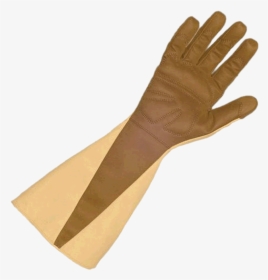 Lady Work Gloves - Foxgloves Gauntlet, HD Png Download, Transparent PNG