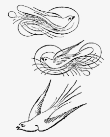Birds Calligraphy Artwork Drawings Illustrations Downloads - Line Art, HD Png Download, Transparent PNG
