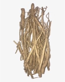 Wholesale Hemp Roots - Driftwood, HD Png Download, Transparent PNG