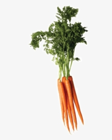 Carrot Png Image - Carrot Png Top, Transparent Png, Transparent PNG