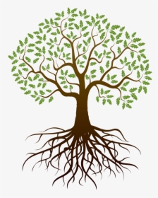 Transparent Tree Of Life With Roots Clipart - Tree With Roots Clipart Free, HD Png Download, Transparent PNG