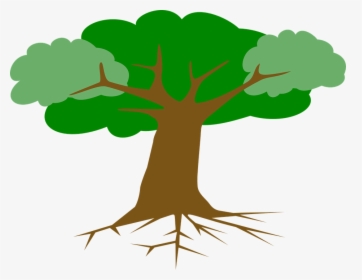 Tree, Roots, Leaves, Cross Section, Plant, Branches - Trees With Roots Clipart, HD Png Download, Transparent PNG