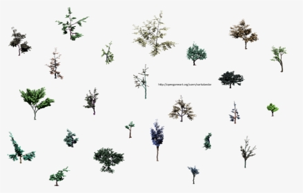 Hjm Small Trees Roots 2 Alpha - Insect, HD Png Download, Transparent PNG
