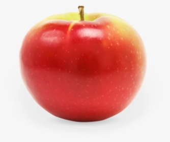 Apple Fruit, HD Png Download, Transparent PNG
