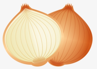 Cartoon Food Onion Png Download - Cartoon Picture Of Onion, Transparent Png, Transparent PNG