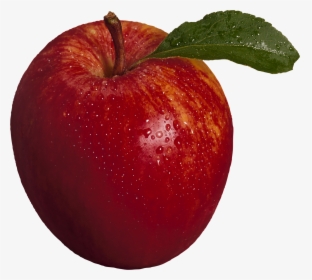 Apple - Apple Fruit Transparent Background, HD Png Download, Transparent PNG
