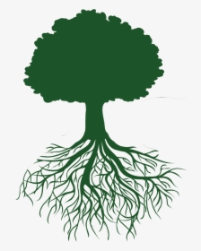Clip Art Roots Illustration - Tree Outline With Roots, HD Png Download, Transparent PNG