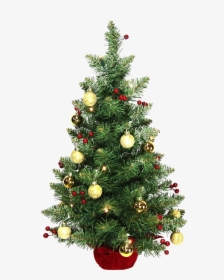 Decorated Christmas Tree Transparent Background - Christmas Images No Background, HD Png Download, Transparent PNG