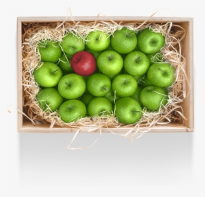 Granny Smith, HD Png Download, Transparent PNG