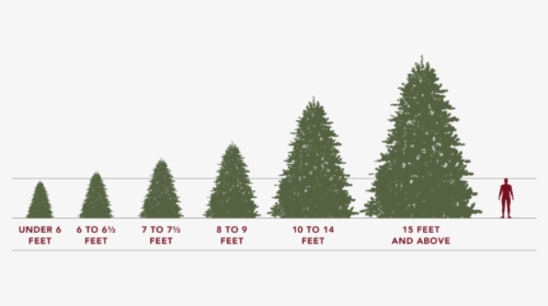 Artificial Christmas Tree Sizes - Christmas Tree, HD Png Download, Transparent PNG