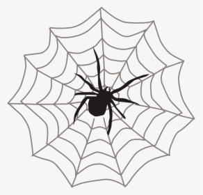 Spider Web Black Arachnid Free Picture - Spider On Web Clipart, HD Png Download, Transparent PNG