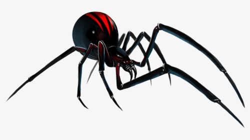 Spider,black Spider - Transparent Background Black Widow Spider Png, Png Download, Transparent PNG