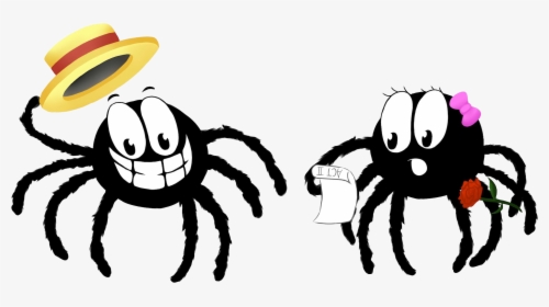 Cobweb Drama - Hairy Ass Spider, HD Png Download, Transparent PNG