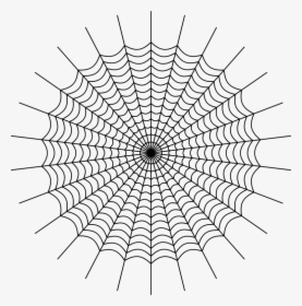 Drawing Web Spider Silk - Charlottes Web Spider Web, HD Png Download, Transparent PNG